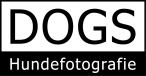 Dogs-Hundefotografie